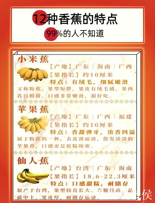 探索国产精品香蕉的独特魅力与价值
