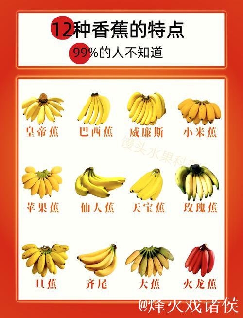 探索国产精品香蕉的独特魅力与价值
